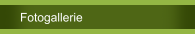 Fotogallerie